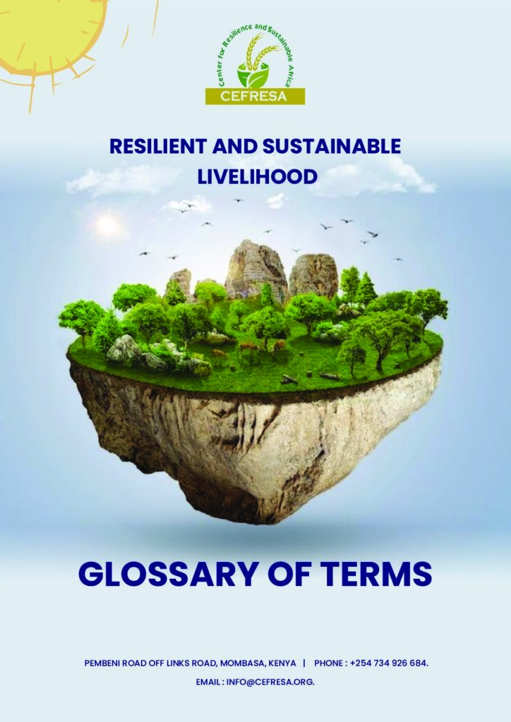 thumbnail of Glossary of Terms